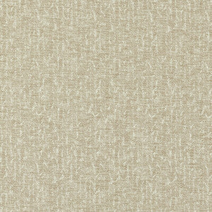 Tierra Antique by Clarke And Clarke Fabric