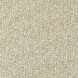 Tierra Antique by Clarke And Clarke Fabric