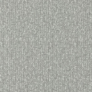Tierra Charcoal by Clarke And Clarke Fabric