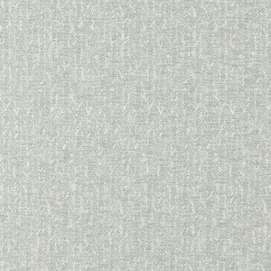 Tierra Pewter by Clarke And Clarke Fabric