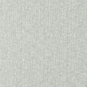 Tierra Pewter by Clarke And Clarke Fabric