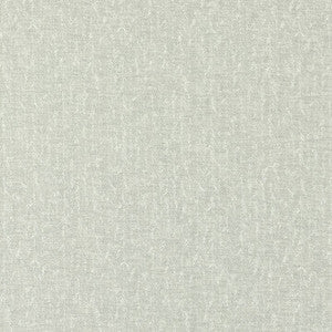 Tierra Silver by Clarke And Clarke Fabric
