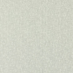 Tierra Silver by Clarke And Clarke Fabric