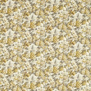 Francis Antique/Charcoal by Clarke And Clarke Fabric
