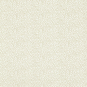 Ricamo Ivory by Clarke And Clarke Fabric