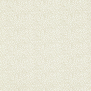 Ricamo Ivory by Clarke And Clarke Fabric