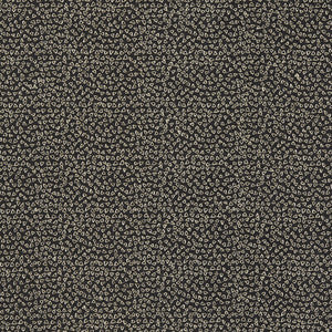 Ricamo Nero by Clarke And Clarke Fabric