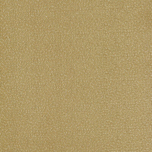 Ricamo Ochre by Clarke And Clarke Fabric