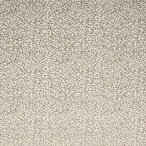Astral Stone by Clarke And Clarke Fabric