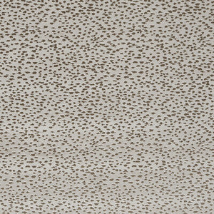 Astral Taupe by Clarke And Clarke Fabric