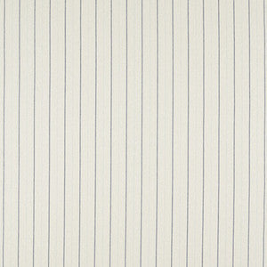 Bowmont Denim by Clarke And Clarke Fabric