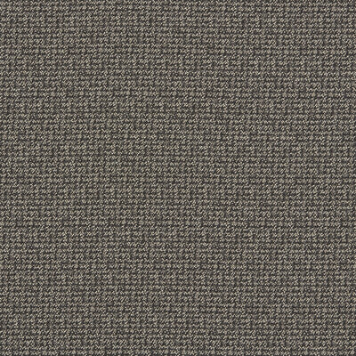 F1569/01.CAC.0 by Clarke And Clarke Fabric Clarke And Clarke Fabric F1569/01.CAC.0Fabric CLARKE & CLARKE BURLINGTON POLYESTER FR - 100% Turkey </p><p>Repeat: H: 0.8, V: 2.4 56.3 - Fabric Carolina -