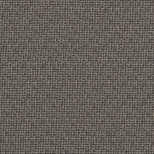 Malone Charcoal by Clarke And Clarke Fabric