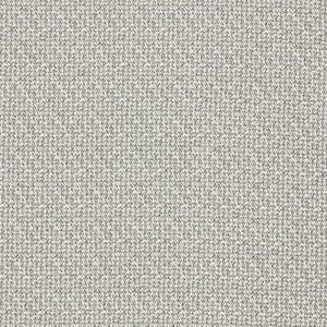 Malone Silver by Clarke And Clarke Fabric