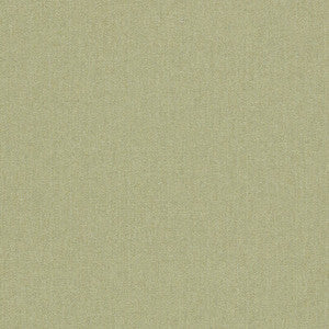 Rowland Olive by Clarke And Clarke Fabric