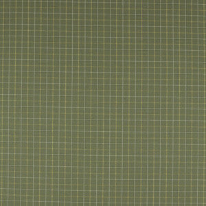 Thornton Moss by Clarke And Clarke Fabric