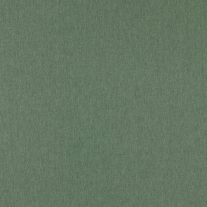 Orla Herb F1572/09.CAC.0 by Clarke And Clarke Fabric