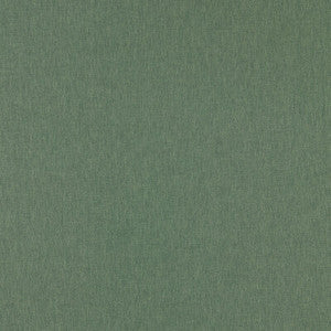 Orla Herb F1572/09.CAC.0 by Clarke And Clarke Fabric