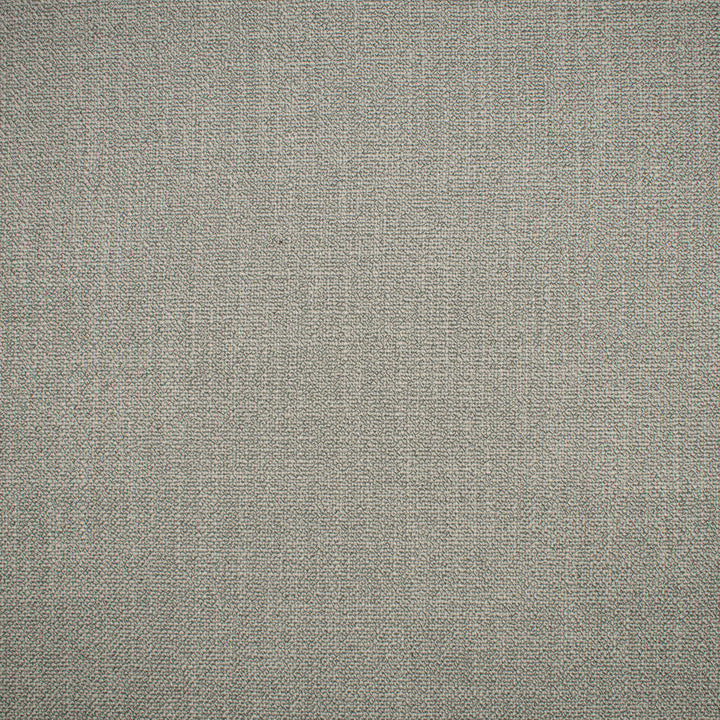 F1577 Silver by Greenhouse Designer Fabric E97: textures by COLOR 100% Polyester China 60,000 double rubs </p><p>Repeat: None 58" - Swanky Fabrics -