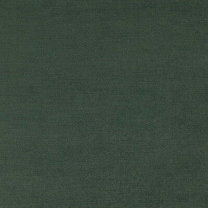 Riva Glade F1583/12.CAC.0 by Clarke And Clarke Fabric