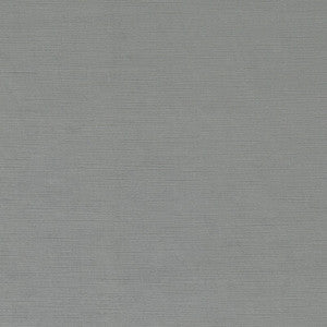 Riva Silver F1583/22.CAC.0 by Clarke And Clarke Fabric