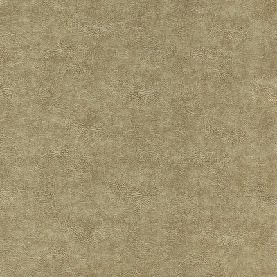 Clarke And Clarke - Upholstery - F1598/06.CAC.0 - Upholstery - PVC - ARTIFICIAL LEATHER - 96.4%;PVC/PU COMPOUND - 3.6% - Turkiye </p><p>Repeat: H: , V: 27.5 21 - My Fabric Connection -