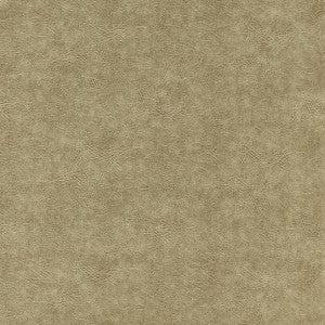 Dawson Gold F1598/06.CAC.0 by Clarke And Clarke Fabric