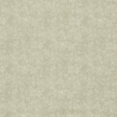 Clarke And Clarke Upholstery F1598/10.CAC.0 Upholstery PVC - ARTIFICIAL LEATHER - 96.4%;PVC/PU COMPOUND - 3.6% Turkiye </p><p>Repeat: H: , V: 27.5 21 - My Fabric Connection -