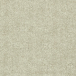 Dawson Natural F1598/10.CAC.0 by Clarke And Clarke Fabric