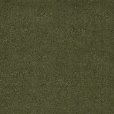 Clarke And Clarke Upholstery F1598/12.CAC.0 Upholstery PVC - ARTIFICIAL LEATHER - 96.4%;PVC/PU COMPOUND - 3.6% Turkiye </p><p>Repeat: H: , V: 27.5 21 - My Fabric Connection -