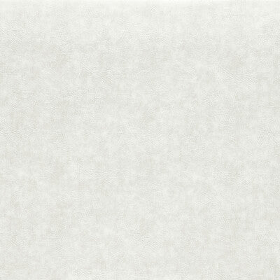 Clarke And Clarke - Upholstery - F1598/13.CAC.0 - Upholstery - PVC - ARTIFICIAL LEATHER - 96.4%;PVC/PU COMPOUND - 3.6% - Turkiye </p><p>Repeat: H: , V: 27.5 21 - My Fabric Connection -