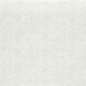 Dawson Pearl F1598/13.CAC.0 by Clarke And Clarke Fabric