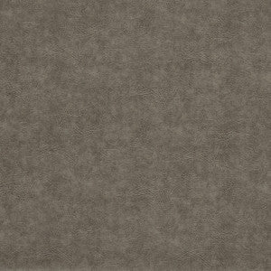 Dawson Pewter F1598/14.CAC.0 by Clarke And Clarke Fabric