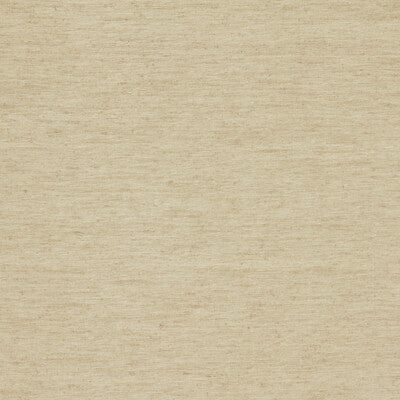 Clarke And Clarke Drapery F1608/02.CAC.0 Drapery POLYESTER - 100% India </p><p>Repeat: H: , V: 27.5 21 - My Fabric Connection -