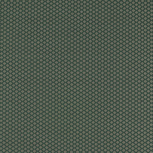 Equator Forest F1618/01.CAC.0 by Clarke And Clarke Fabric