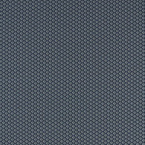 Equator Midnight F1618/02.CAC.0 by Clarke And Clarke Fabric