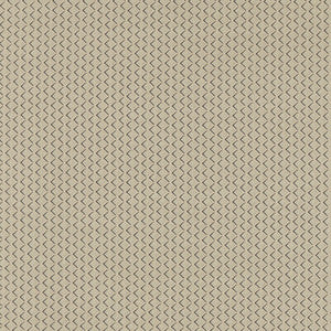 Equator Natural F1618/03.CAC.0 by Clarke And Clarke Fabric