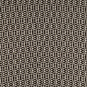 Equator Noir F1618/04.CAC.0 by Clarke And Clarke Fabric