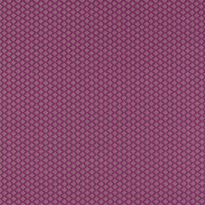 Equator Raspberry F1618/05.CAC.0 by Clarke And Clarke Fabric