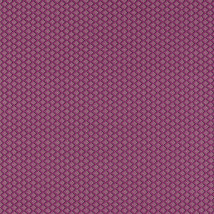 Equator Raspberry F1618/05.CAC.0 by Clarke And Clarke Fabric