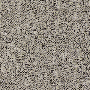 Orion Noir F1619/04.CAC.0 by Clarke And Clarke Fabric