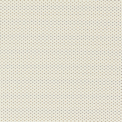 Clarke And Clarke Upholstery F1620/03.CAC.0 Upholstery POLYESTER - 82%;COTTON - 18% Turkiye </p><p>Repeat: H: , V: 27.5 21 - My Fabric Connection -