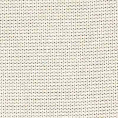 Clarke And Clarke - Upholstery - F1620/03.CAC.0 - Upholstery - POLYESTER - 82%;COTTON - 18% - Turkiye </p><p>Repeat: H: , V: 27.5 21 - My Fabric Connection -