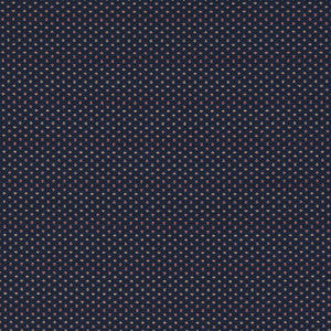 Pavo Midnight F1620/04.CAC.0 by Clarke And Clarke Fabric