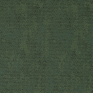 Bjorn Moss F1629/03.CAC.0 by Clarke And Clarke Fabric