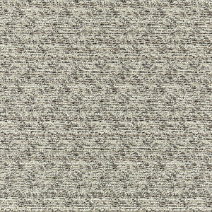 Sven Charcoal F1635/03.CAC.0 by Clarke And Clarke Fabric
