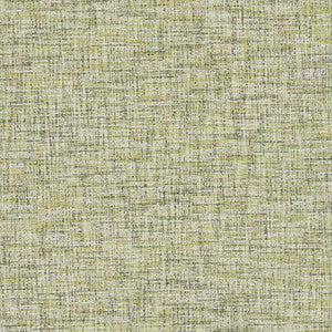 Cetara Spring F1642/17.CAC.0 by Clarke And Clarke Fabric