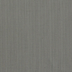 Remo Charcoal F1665/02.CAC.0 by Clarke And Clarke Fabric