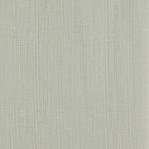 Remo Smoke F1665/12.CAC.0 by Clarke And Clarke Fabric