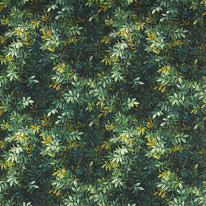 Congo Outdoor F1666/01.CAC.0 by Clarke And Clarke Fabric